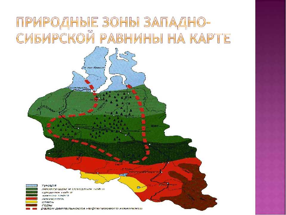 Природные зоны сибирского федерального округа