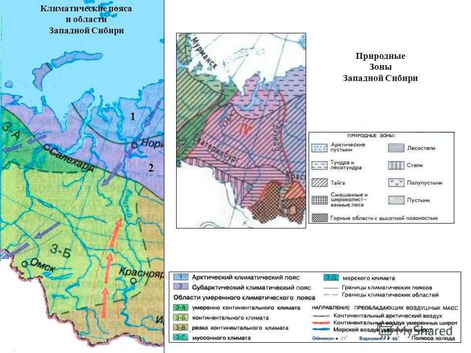 В каких природных зонах расположена сибирь. Западно-Сибирская равнина климат карта. Климатическая карта Западно сибирской равнины. Климат Западной Сибири карта. Природные зоны Западно сибирской равнины на карте.
