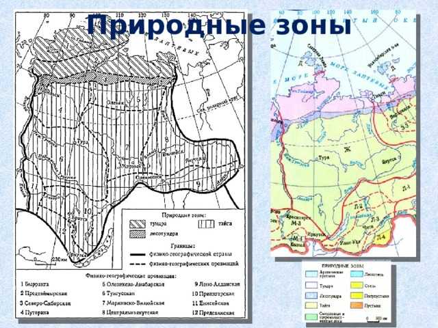 Восточная сибирь природные зоны контурная карта