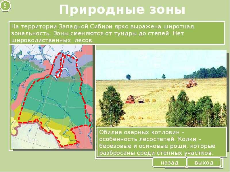 В пределах каких природных зон расположена сибирь. Природные зоны Западной Сибири карта. Природные зоны Западной Сибир. Природныемзонызападной Сибири. Природные зоны Западно сибирской равнины.