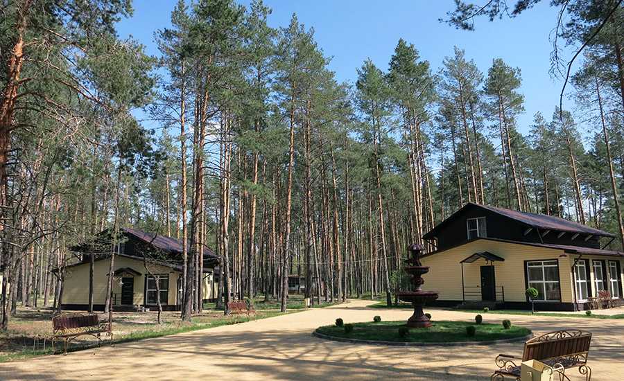 Сайт турбазы сосновый бор. Сосновый Бор Брянск. Турбаза Бор Брянск. Сосновый Бор Брянск база отдыха. Загородная резиденция Бор Брянск.