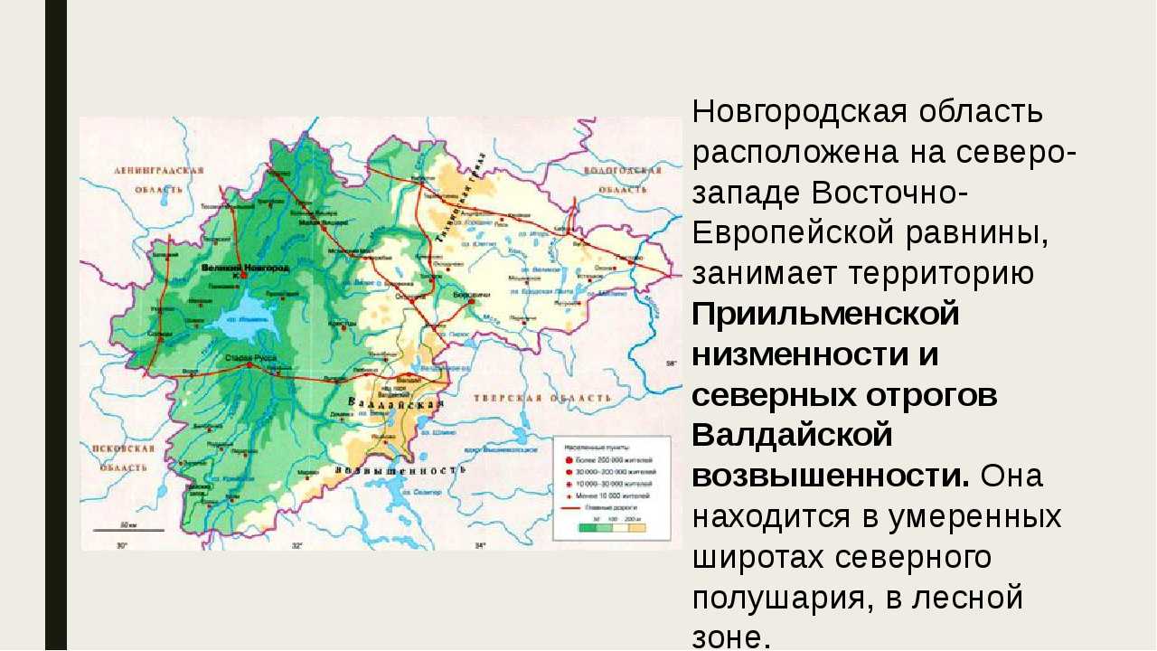 Описание новгородской области