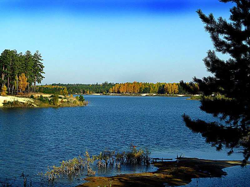 Город курган море. Озёра Курганской области. Голубые озера город Курган. Озеро Медвежье Курганская область. Озеро Акулинкино.