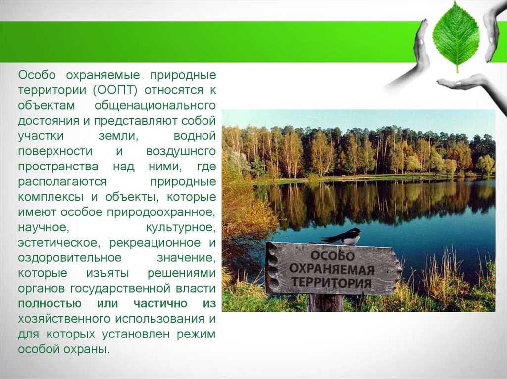 Презентация про оопт