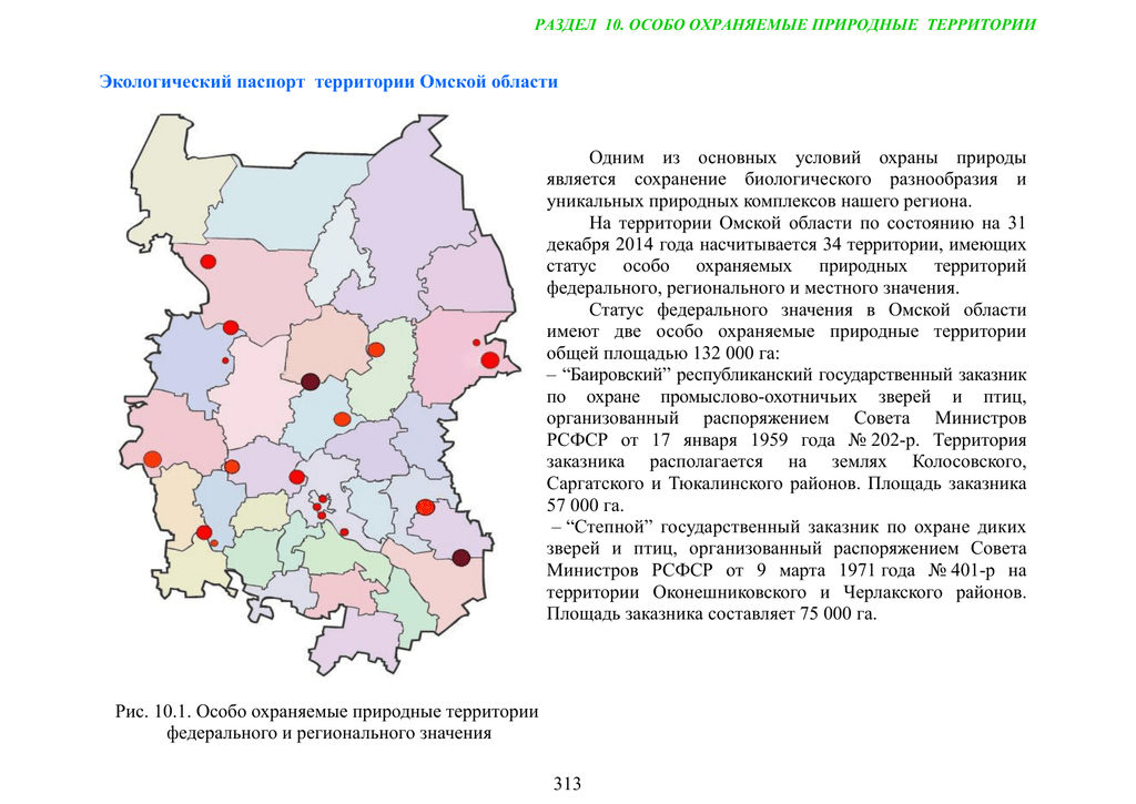 Проект своя территория омск