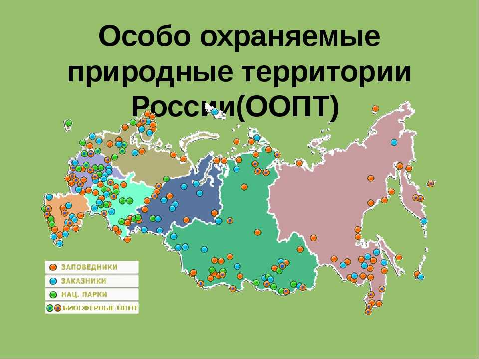 Особо охраняемые природные территории. Особоохраняяемы природные территории. Особо охраняемые природные территории России. Особо охраняемые природные территории (ООПТ) России.