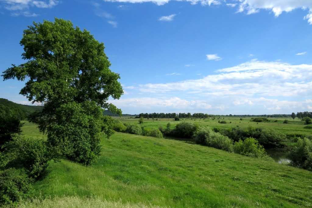 Нижегородская природа. Природа Нижегородской области Гагино. Природа село Гагино Нижегородской области. Гагинский район Нижегородской области природа. Пейзажи села Гагино Нижегородской области.