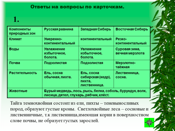 Каковы основные причины различий видового состава растительного. Растения зоны лесов таблица. Характеристика природной зоны леса. Характеристика зоны лесов. Природные зоны зона лесов таблица.