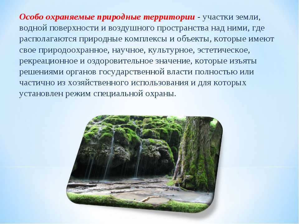 Типы природных территорий. Особо охраняемые природные территории. Особо охраняемые прирд. Охрана природы и охраняемые территории. Памятники природы Ставропольского края.