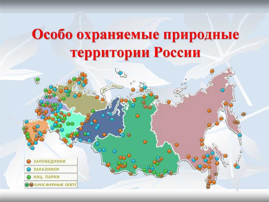 Карта заповедников россии с названиями